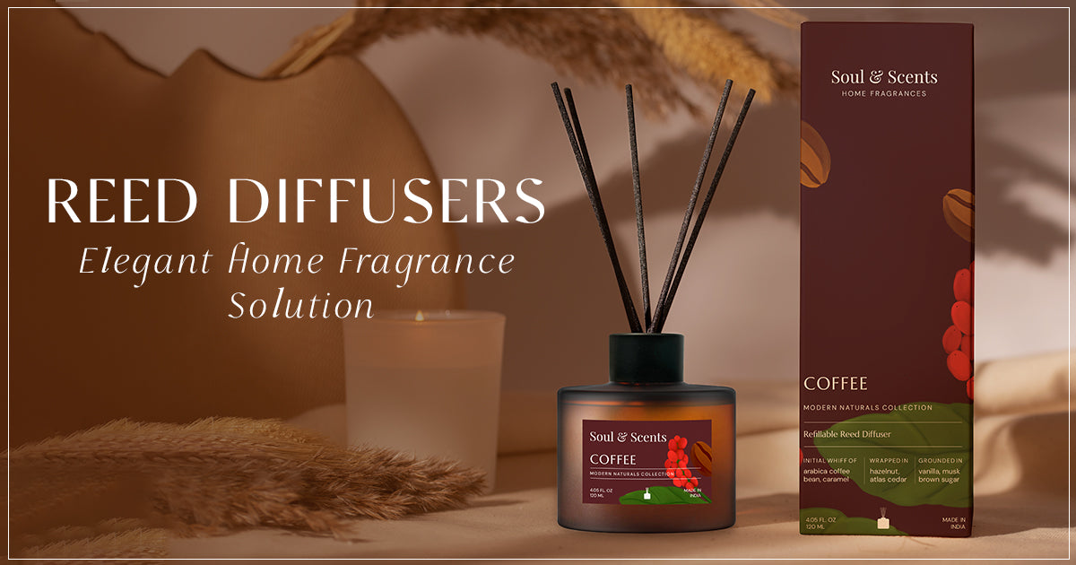 Experience an Elegant Home Fragrance Solution With Reed Diffusers
