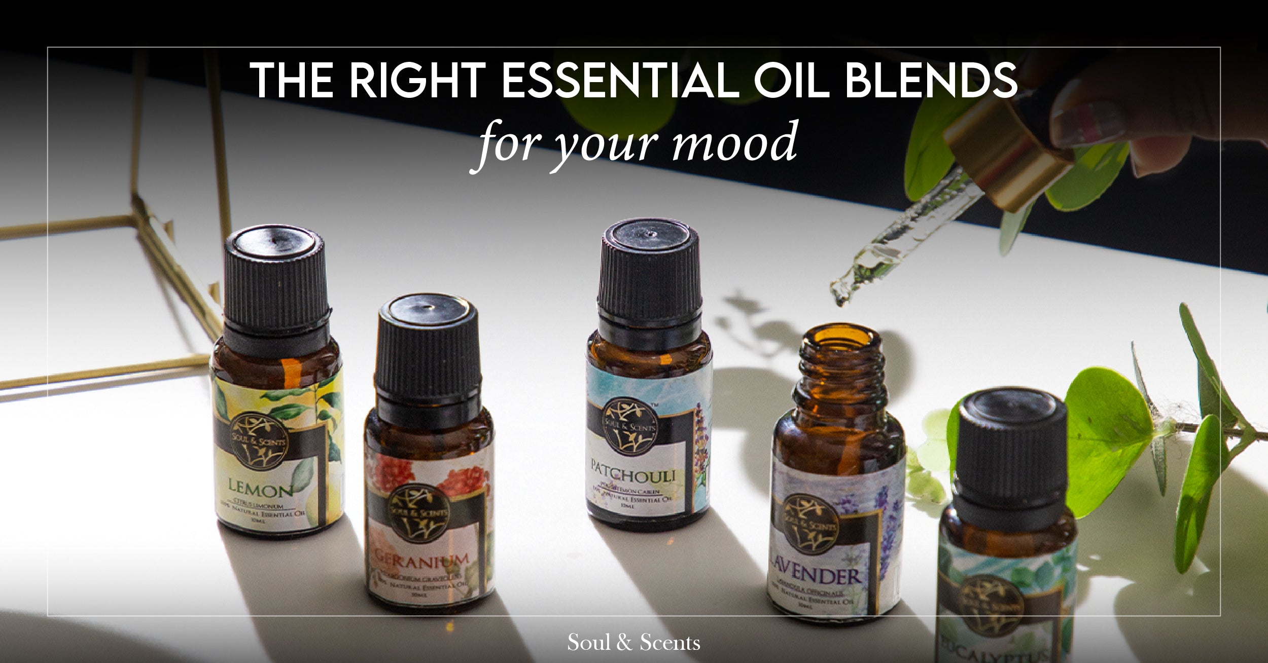 Choosing the Right Essential Oil Blends for Your Mood and Needs By Soul & Scents