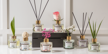 THE COMPLETE GUIDE ON HOW TO USE A REED DIFFUSER THE COMPLETE GUIDE ON HOW TO USE A REED DIFFUSER