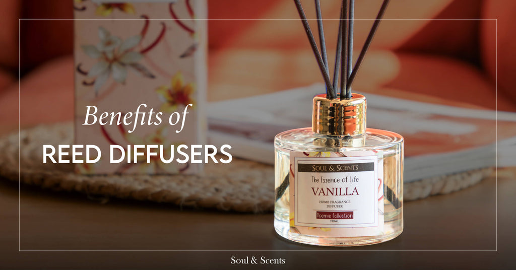 Exploring the Benefits of Reed Diffusers: A Complete Overview by Soul & Scents