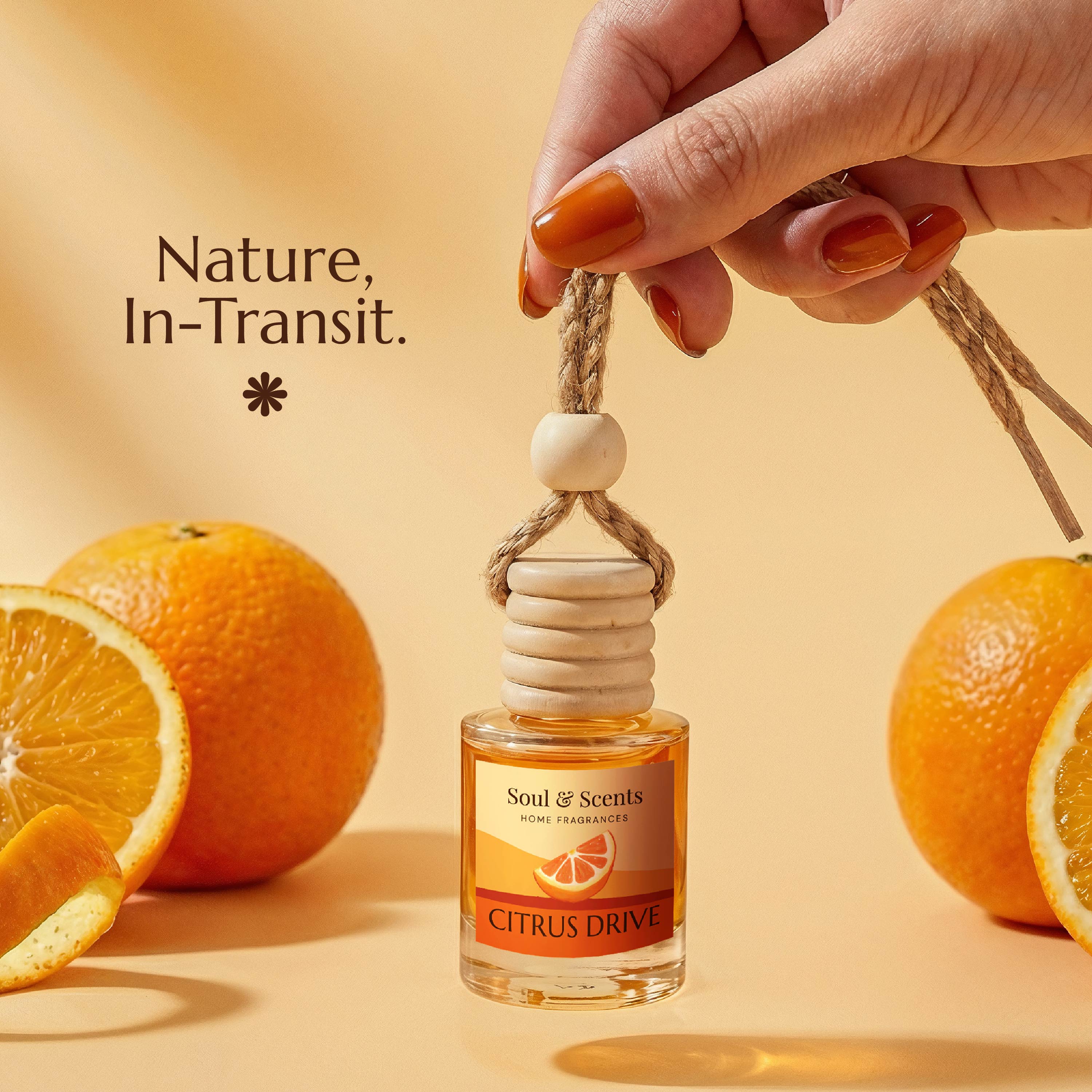 Citrus Drive Car Hanging