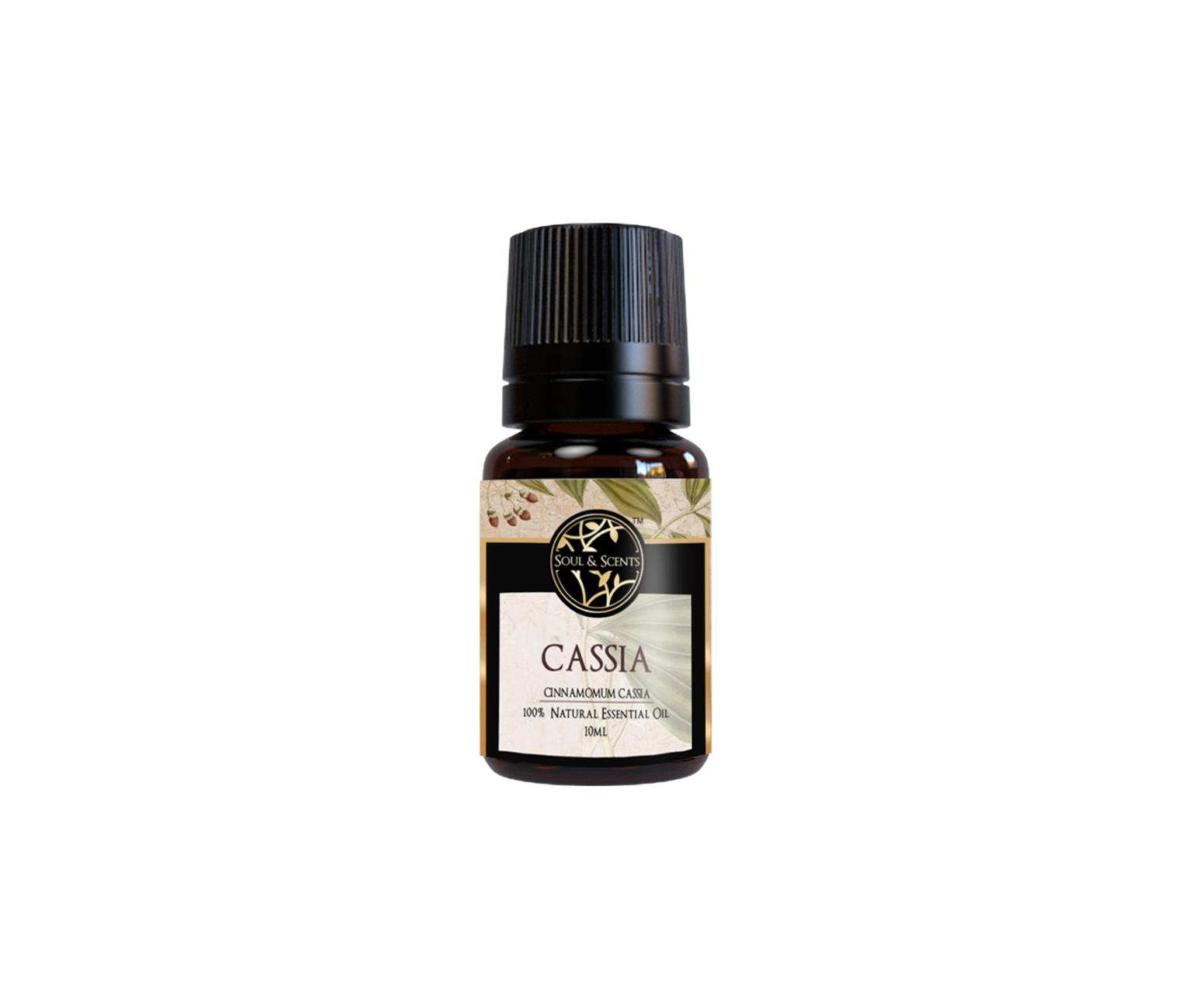 Cassia Essential Oil