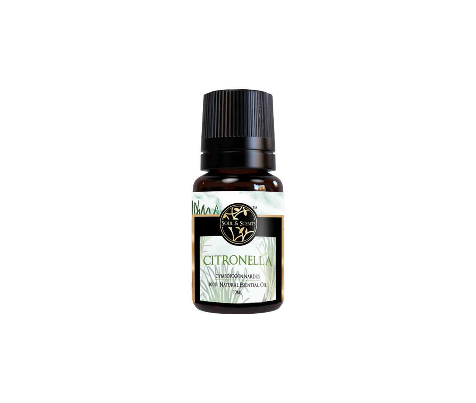 Citronella Essential Oil