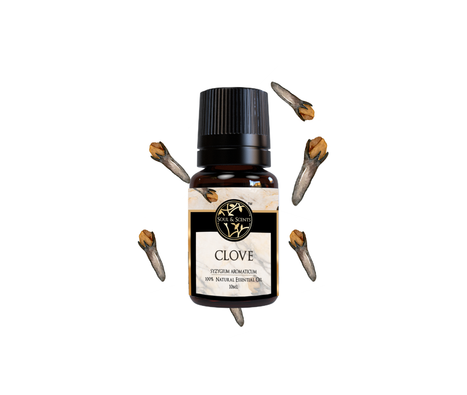 Clove Essential Oil