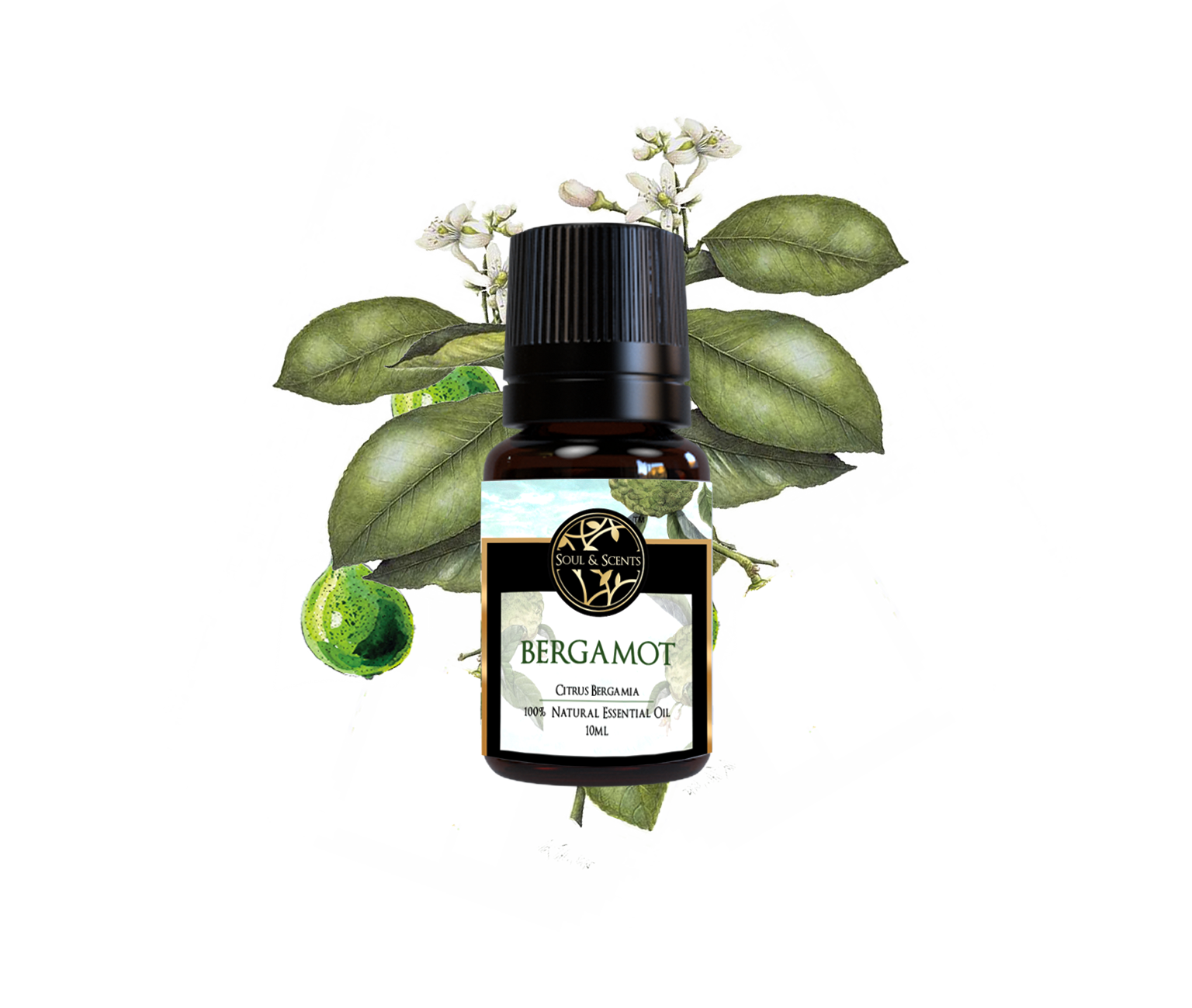 Bergamot Essential Oil