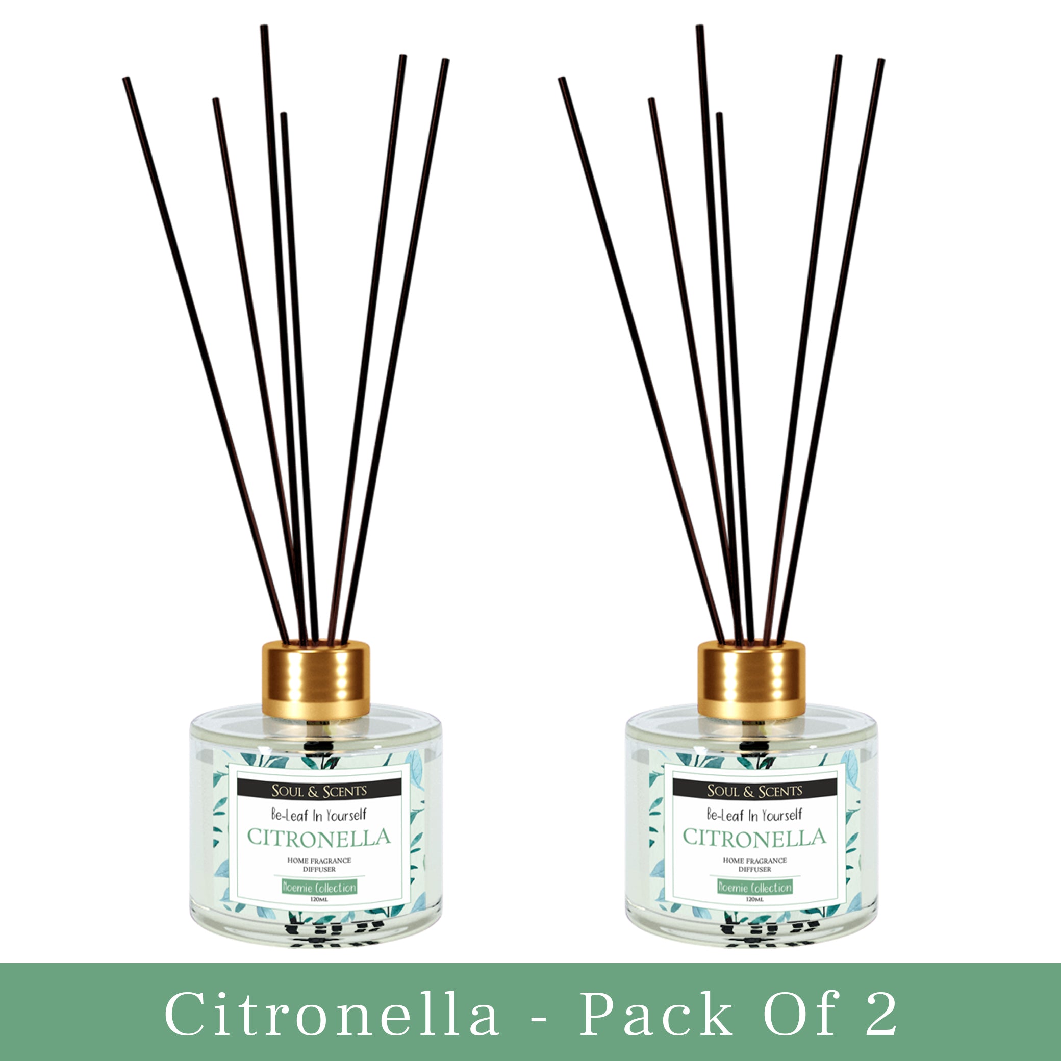 Citronella Reed Diffuser 120 ml Pack of 2