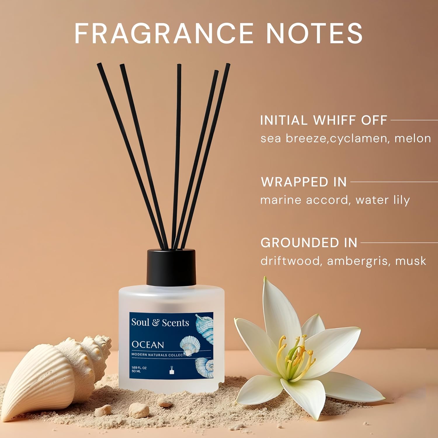 Gift Set 50ml Ocean Reed Diffuser + 140g Potpourri