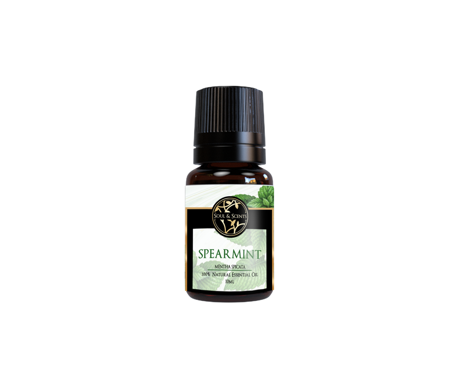 Spearmint Essential Oil