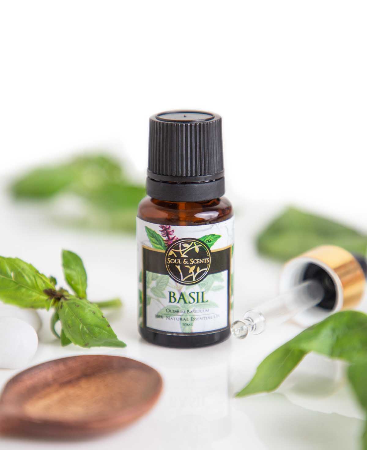 basil essential oil; sweet basil essential oil