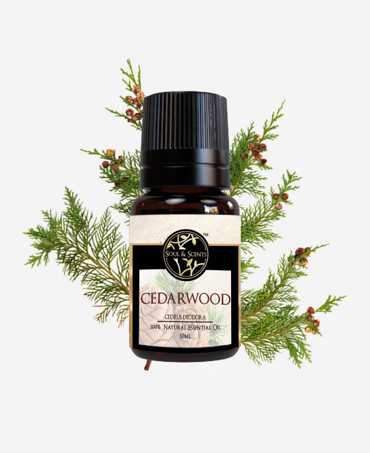 cedarwood oil; cedarwood essential oil