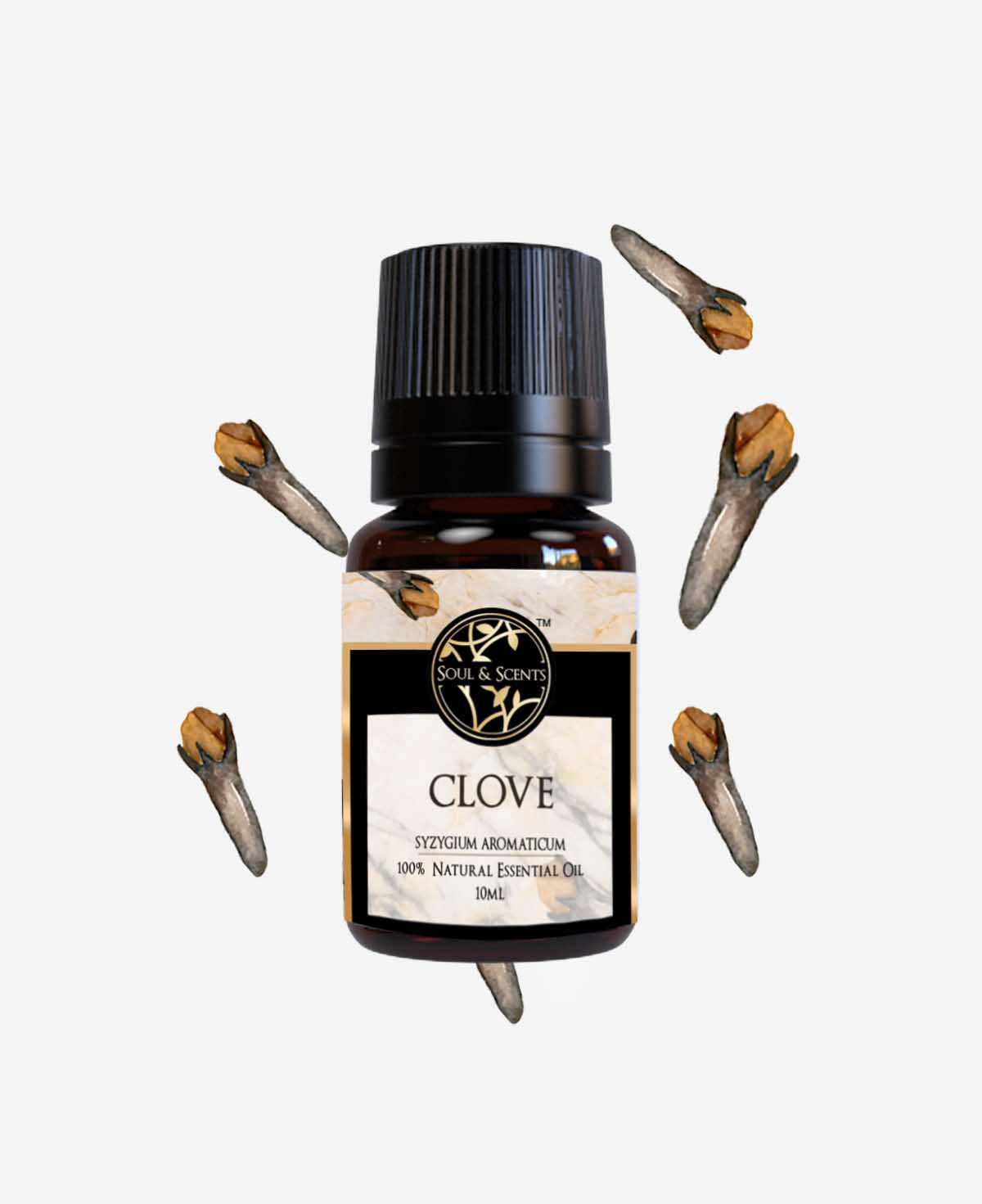 Clove Essential Oil