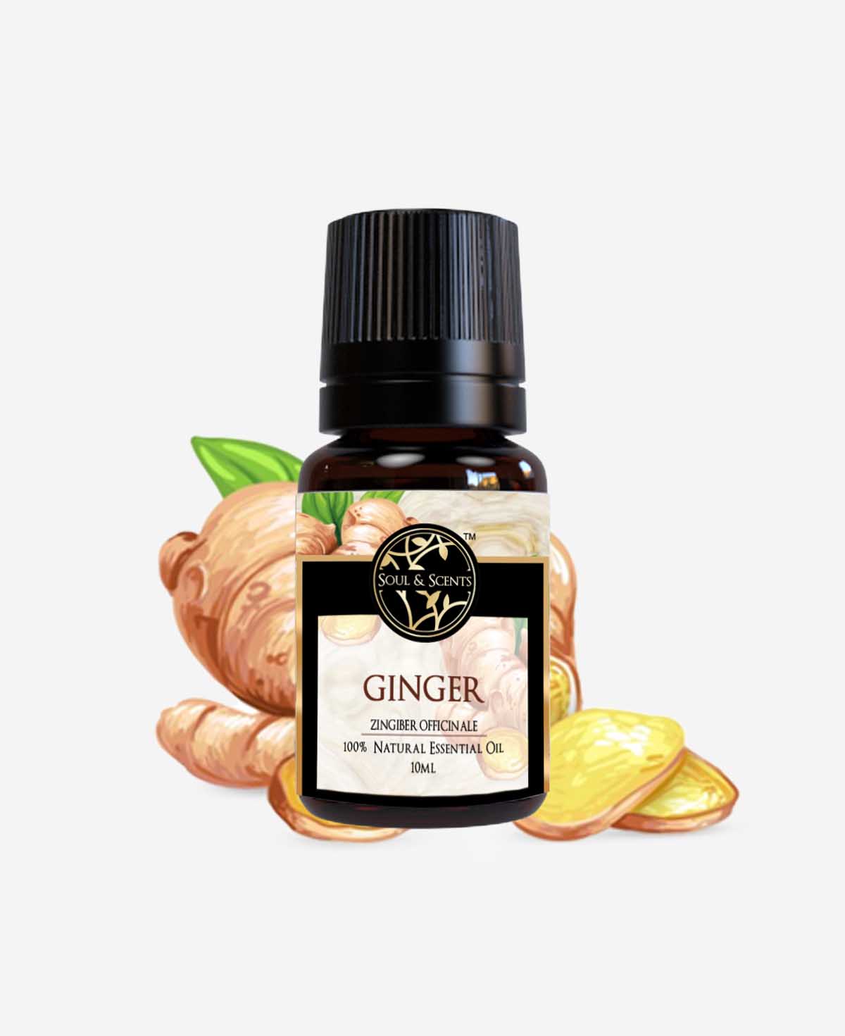 ginger oil; ginger essential oil