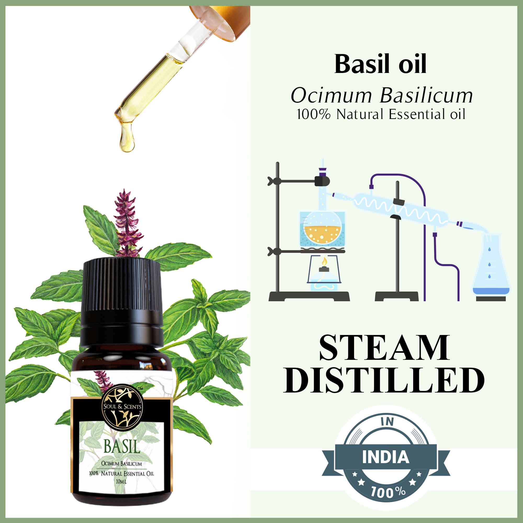 Basil Essential Oil