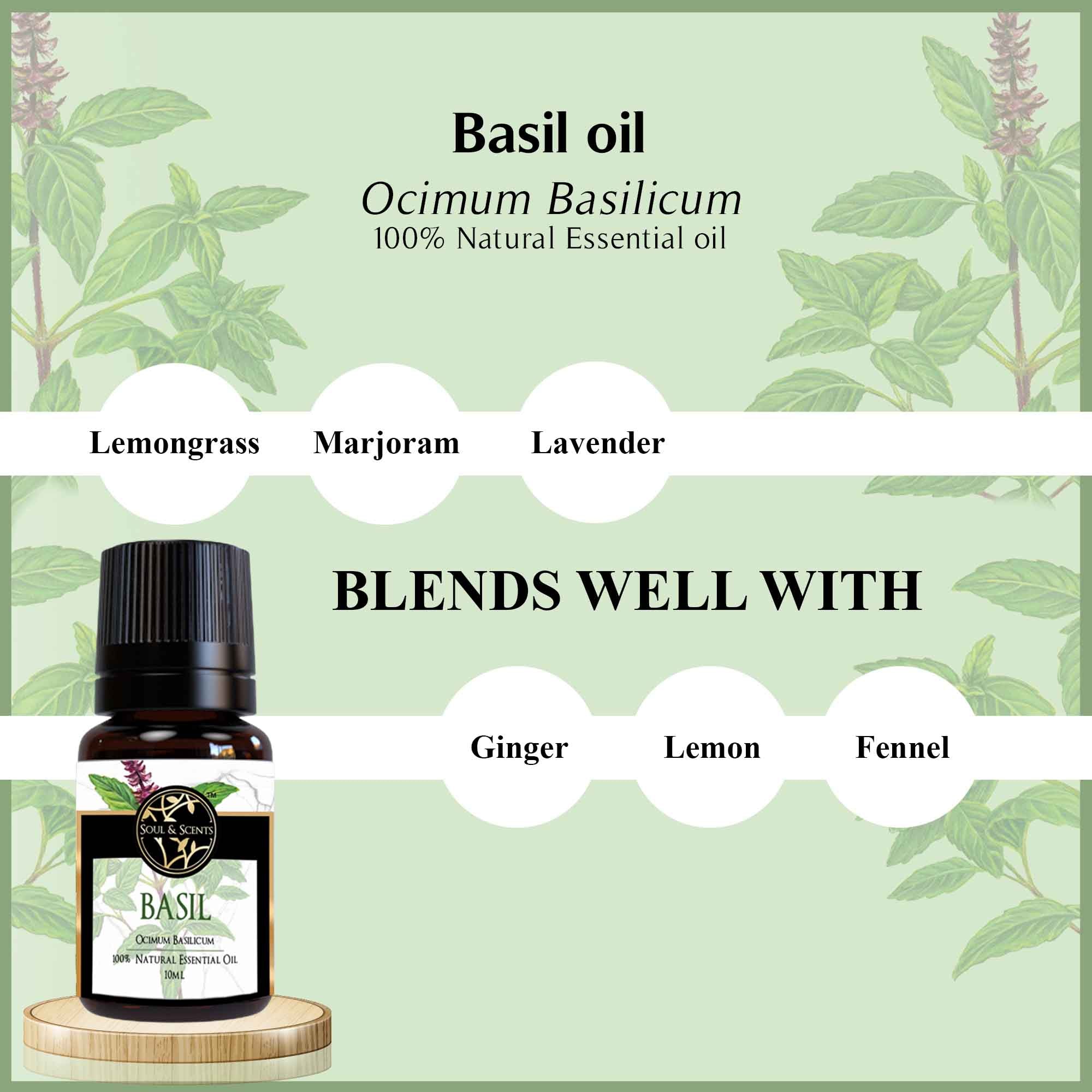Basil Essential Oil