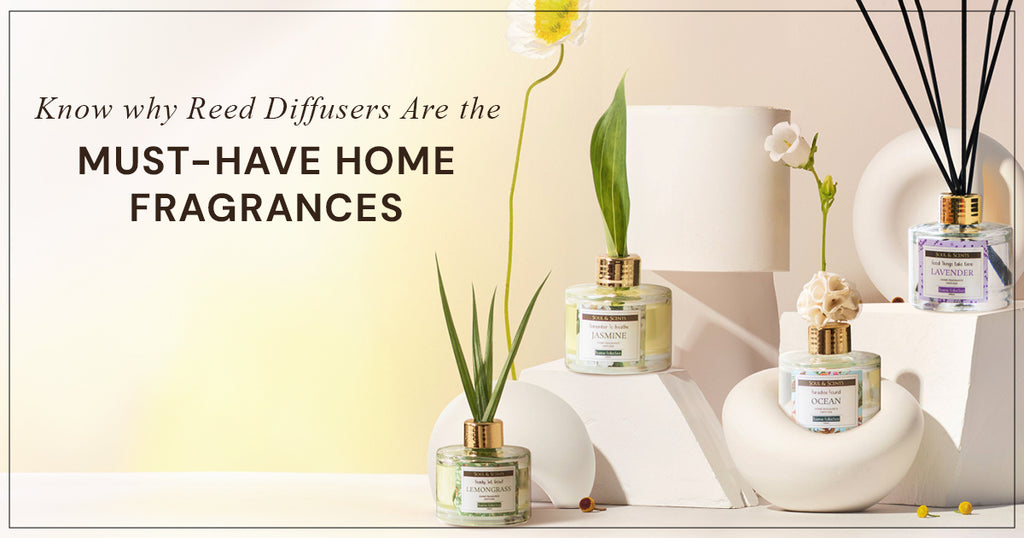 Why Reed Diffusers Are the Must-Have Home Fragrance Trend of the Year