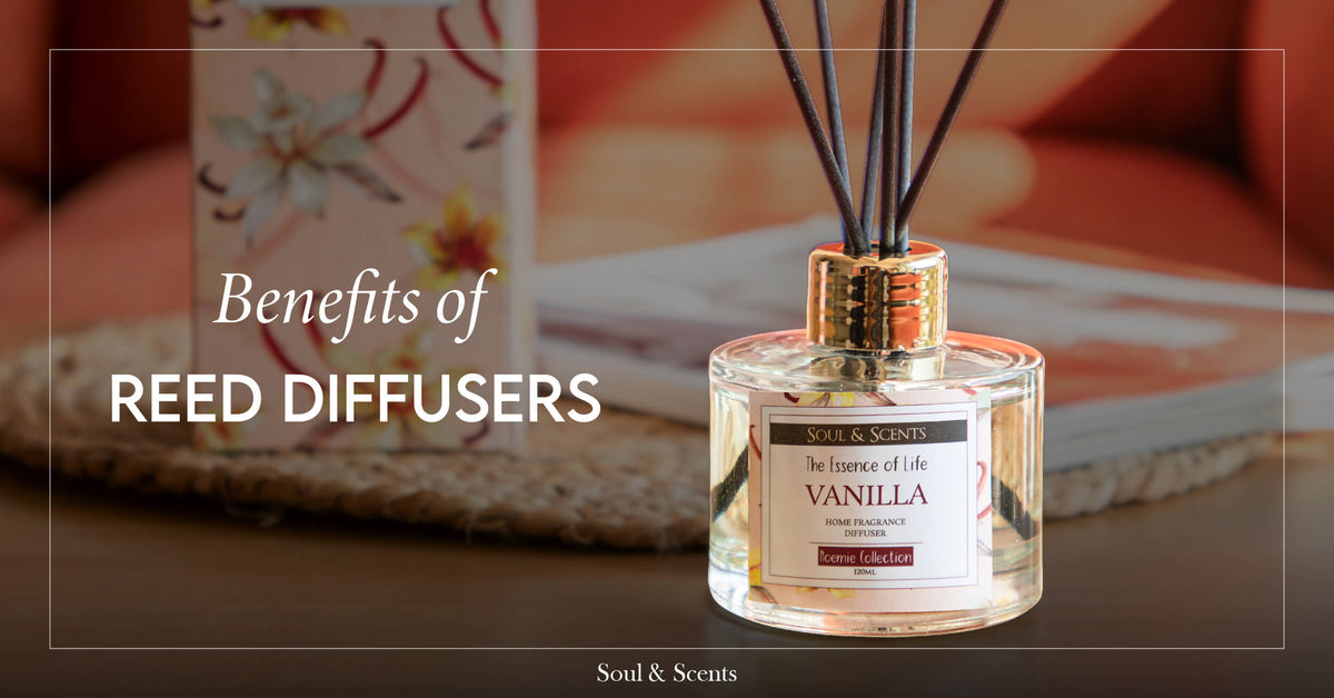 Enhance Your Space With The Benefits Of Reed Diffusers – SOUL & SCENTS