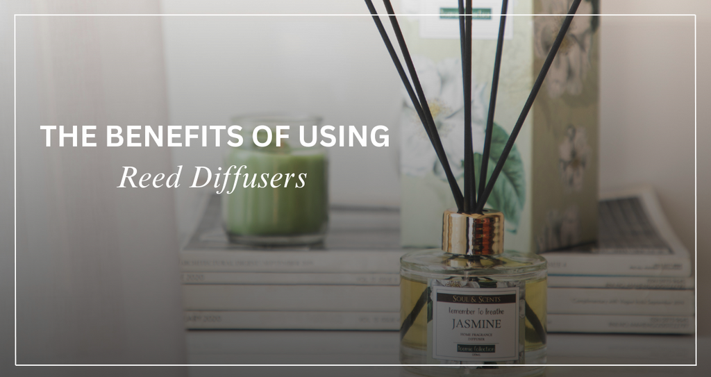 The Benefits of Using Reed Diffusers for a Subtle & Long-Lasting Fragrance