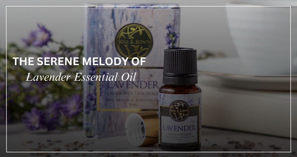 The Serene Melody of Lavender Essential Oil: A Symphony With Soul & Scents