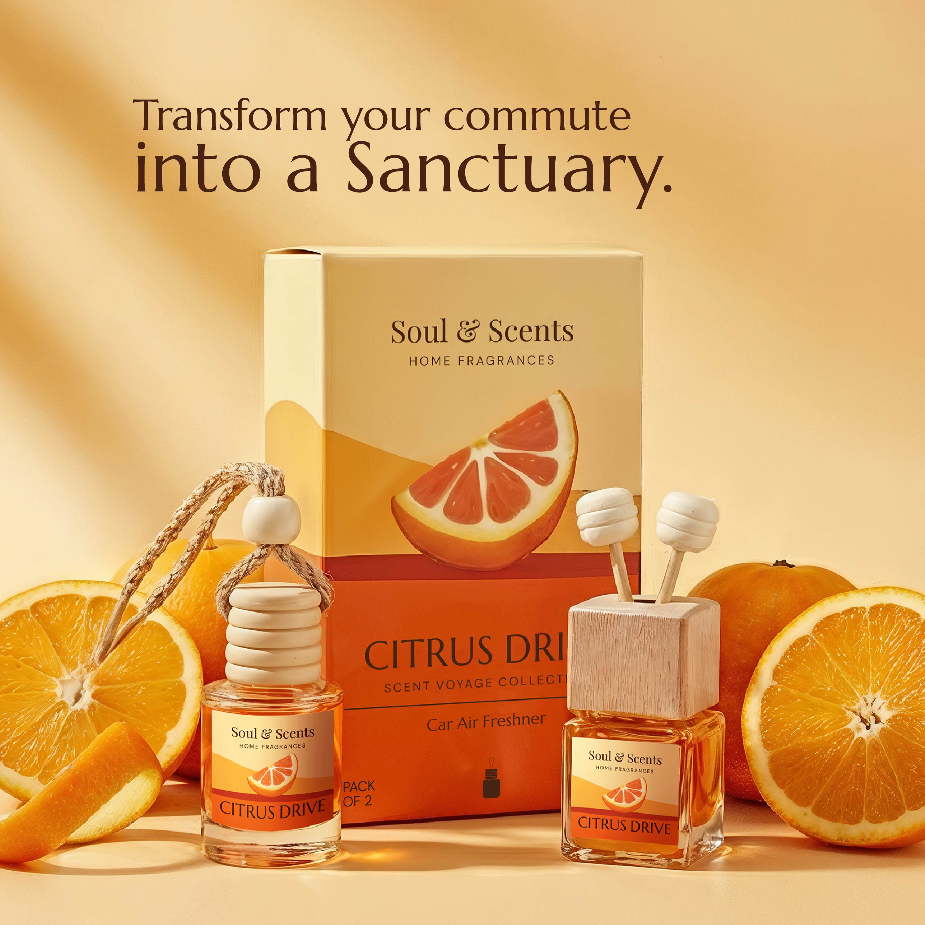 Citrus Drive Car Hanging