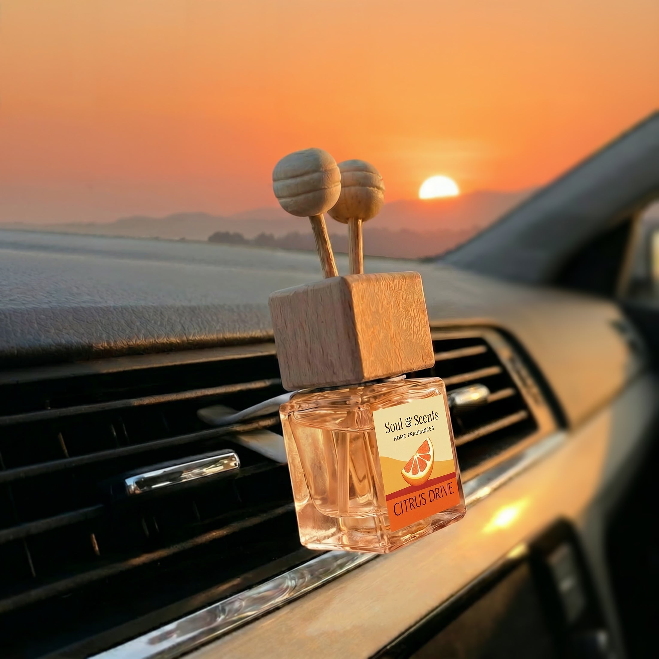 Citrus Drive Car Hanging