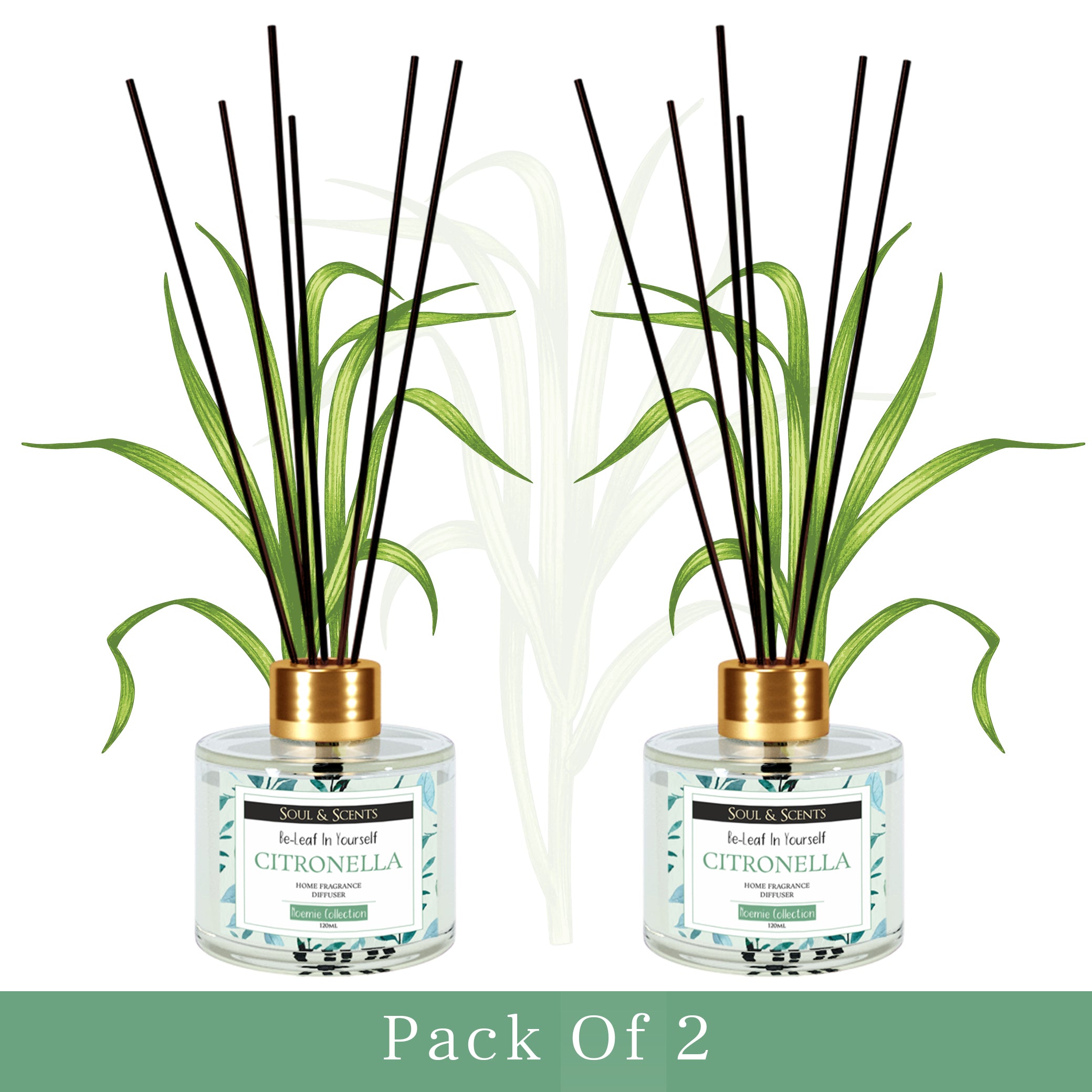 Citronella  Reed Diffuser 120 ml Pack of 2