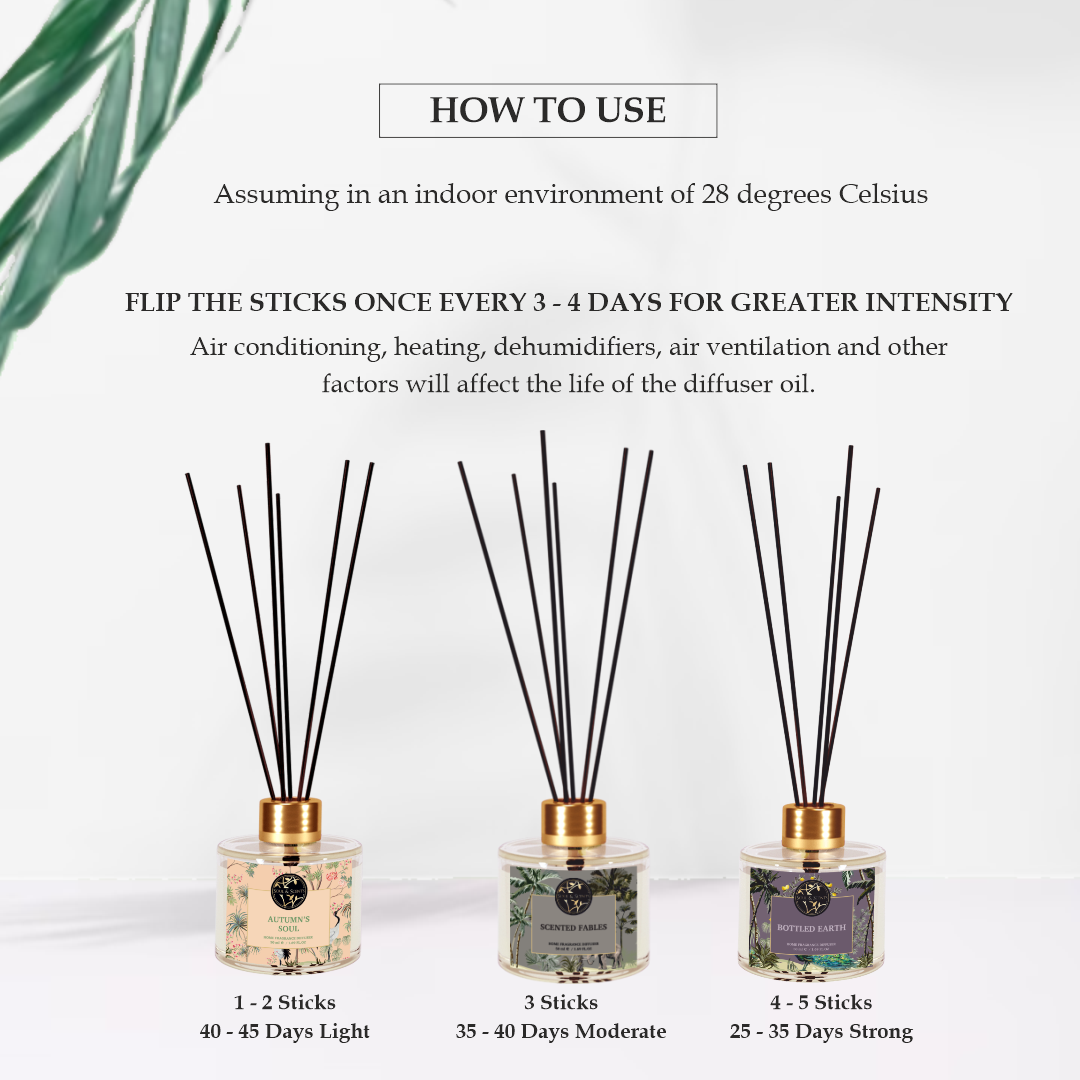 AUTUMN'S SOUL 50ML REED DIFFUSER