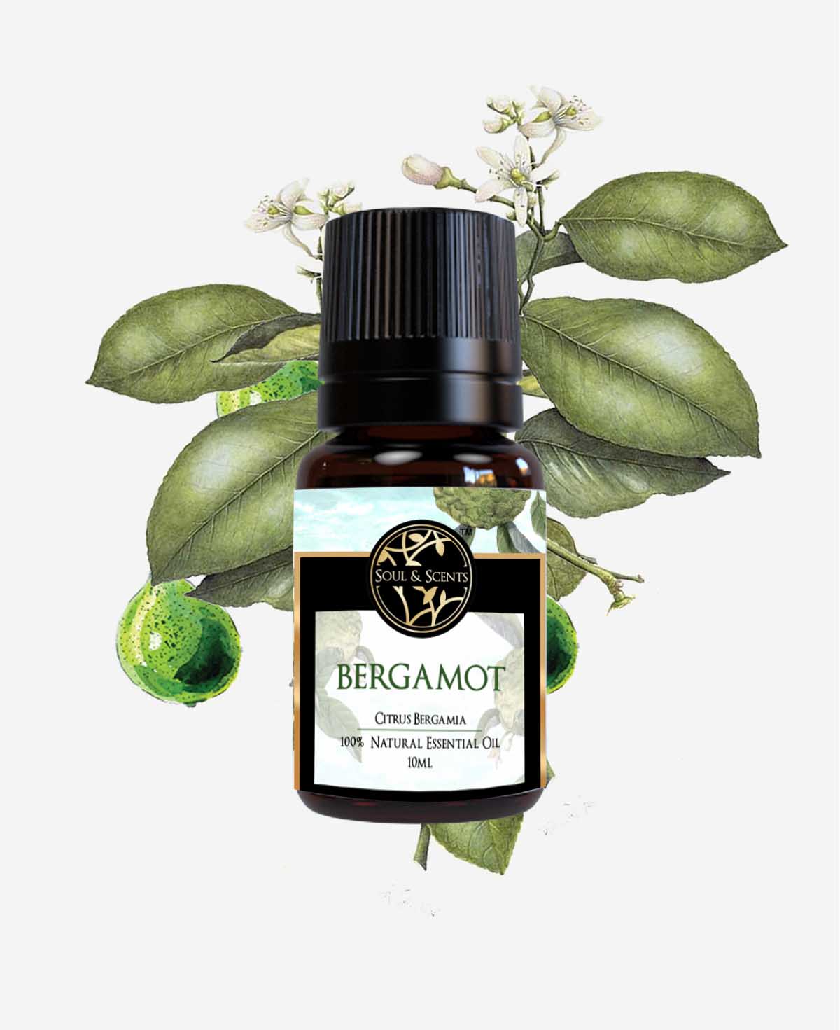 bergamot essential oil; citrus bergamot oil by Soul and Scents