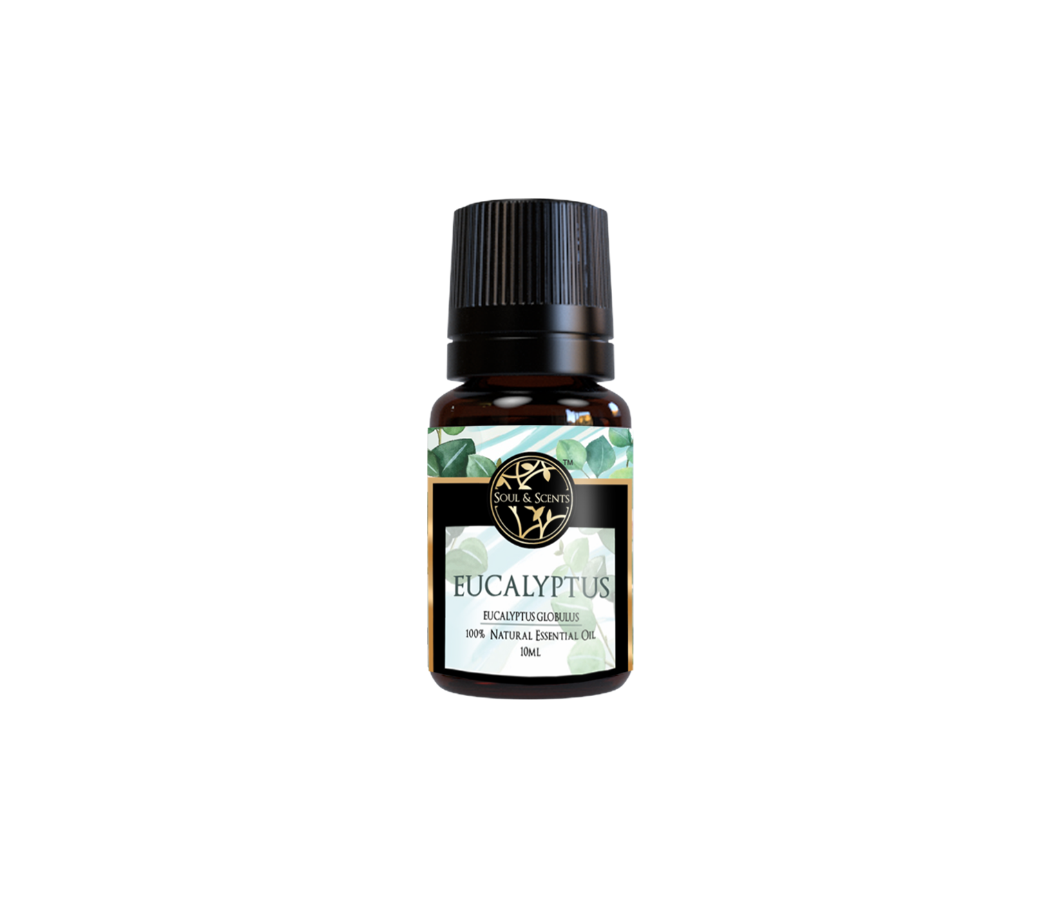 Eucalyptus Essential Oil