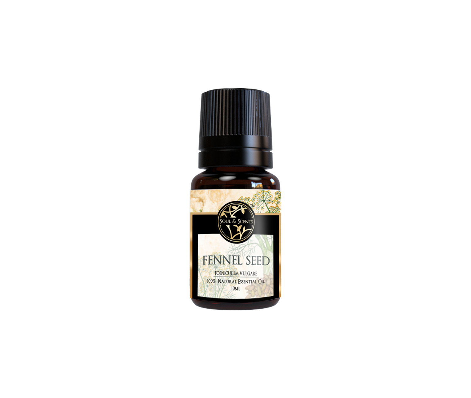 Fennel Seed Essential Oil
