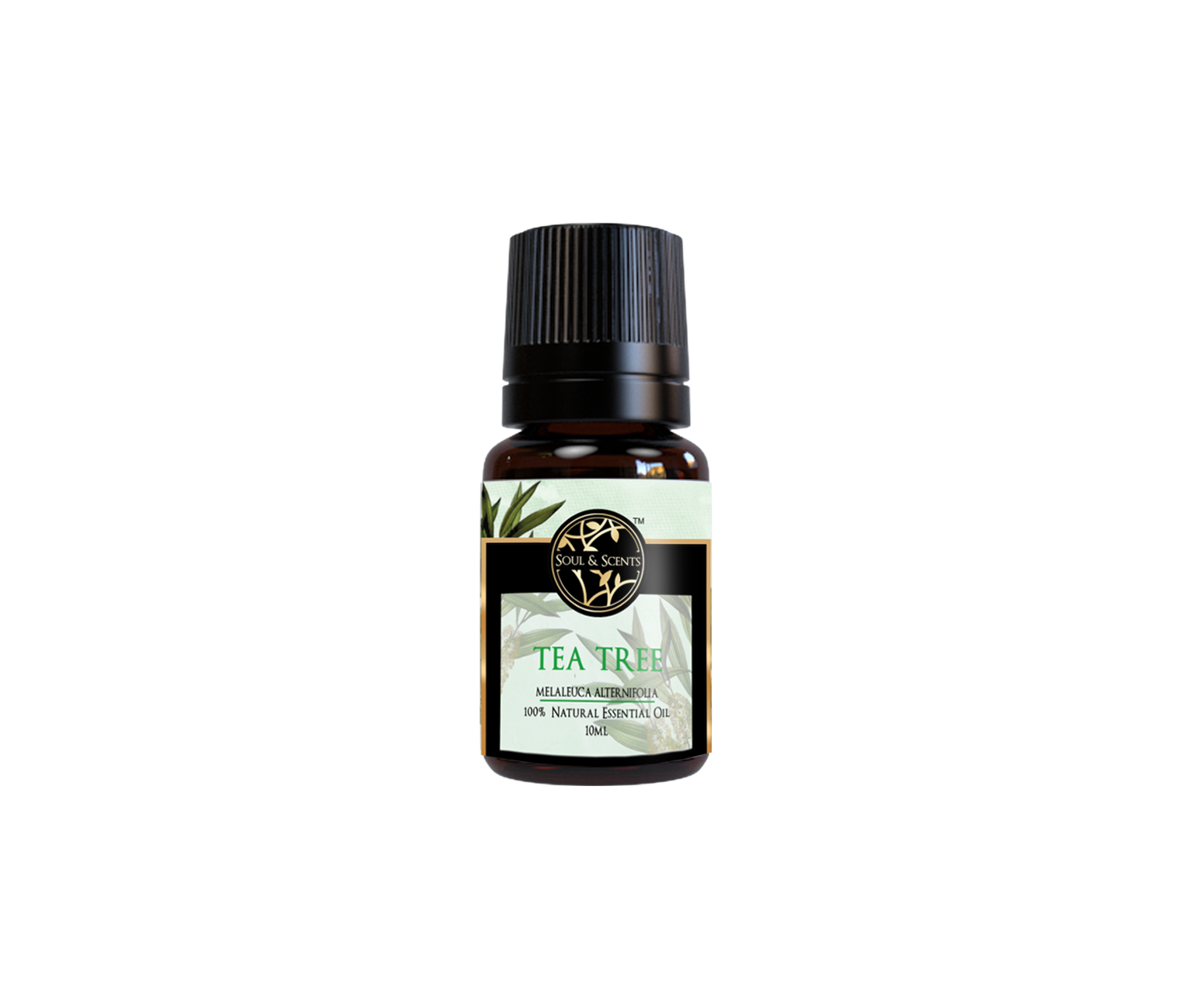 Tea Tree Essential Oil