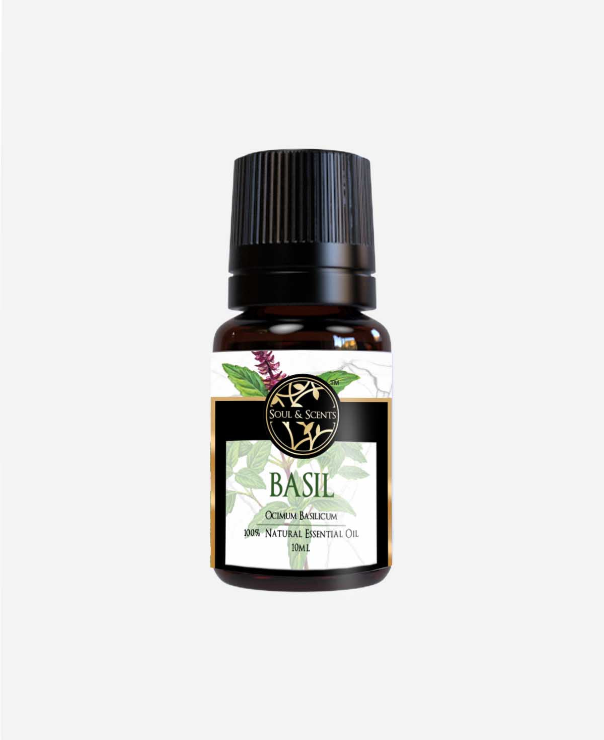 basil essential oil; sweet basil essential oil