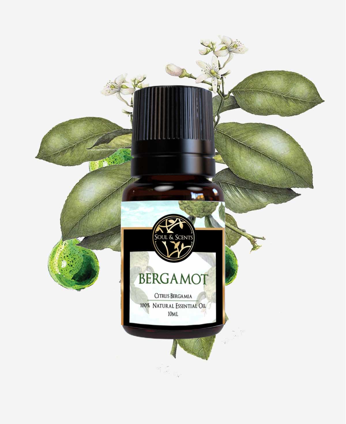 bergamot oil; bergamot essential oil; citrus bergamot oil