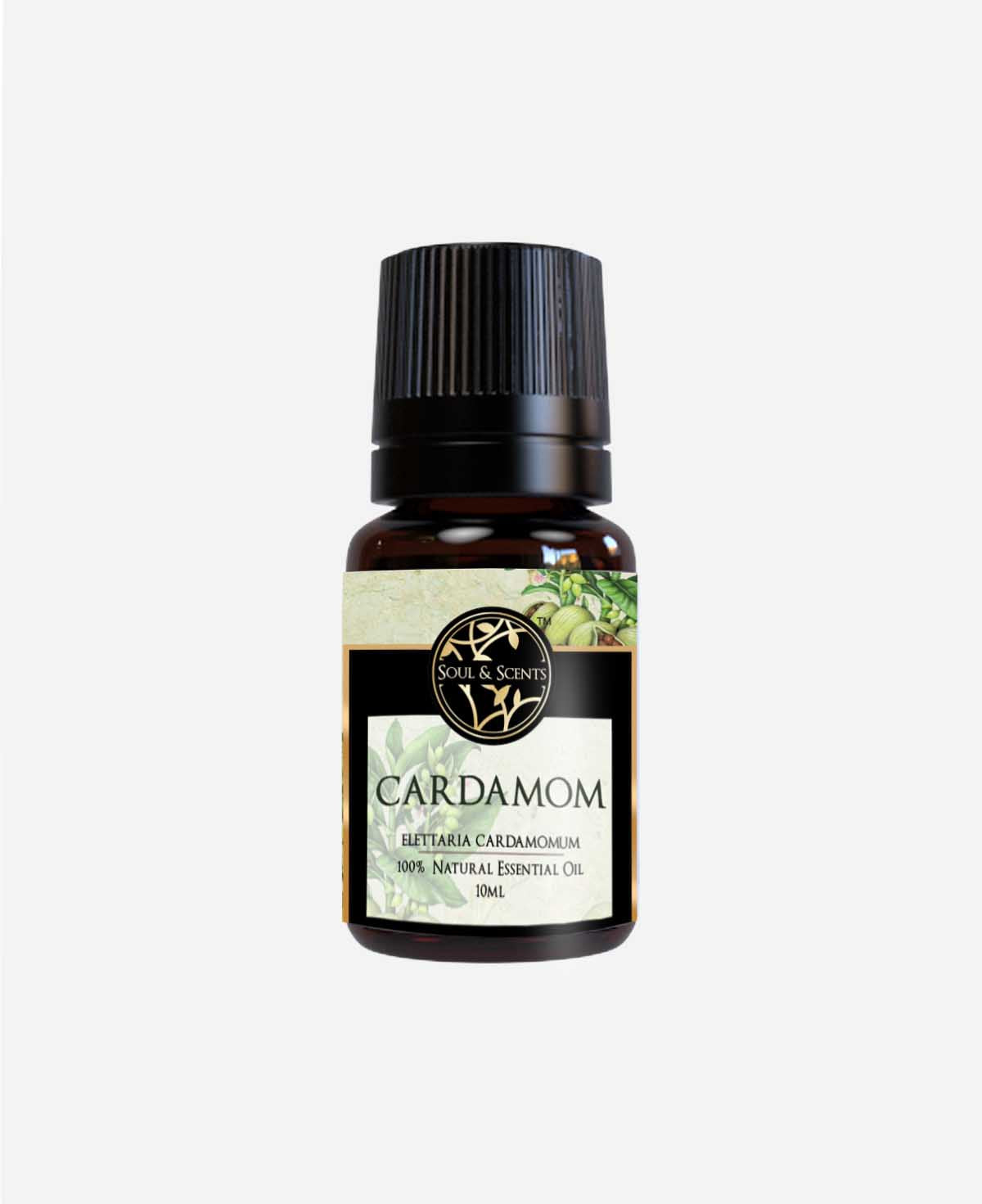 cardamom essential oil; cardamom oil; elaichi oil