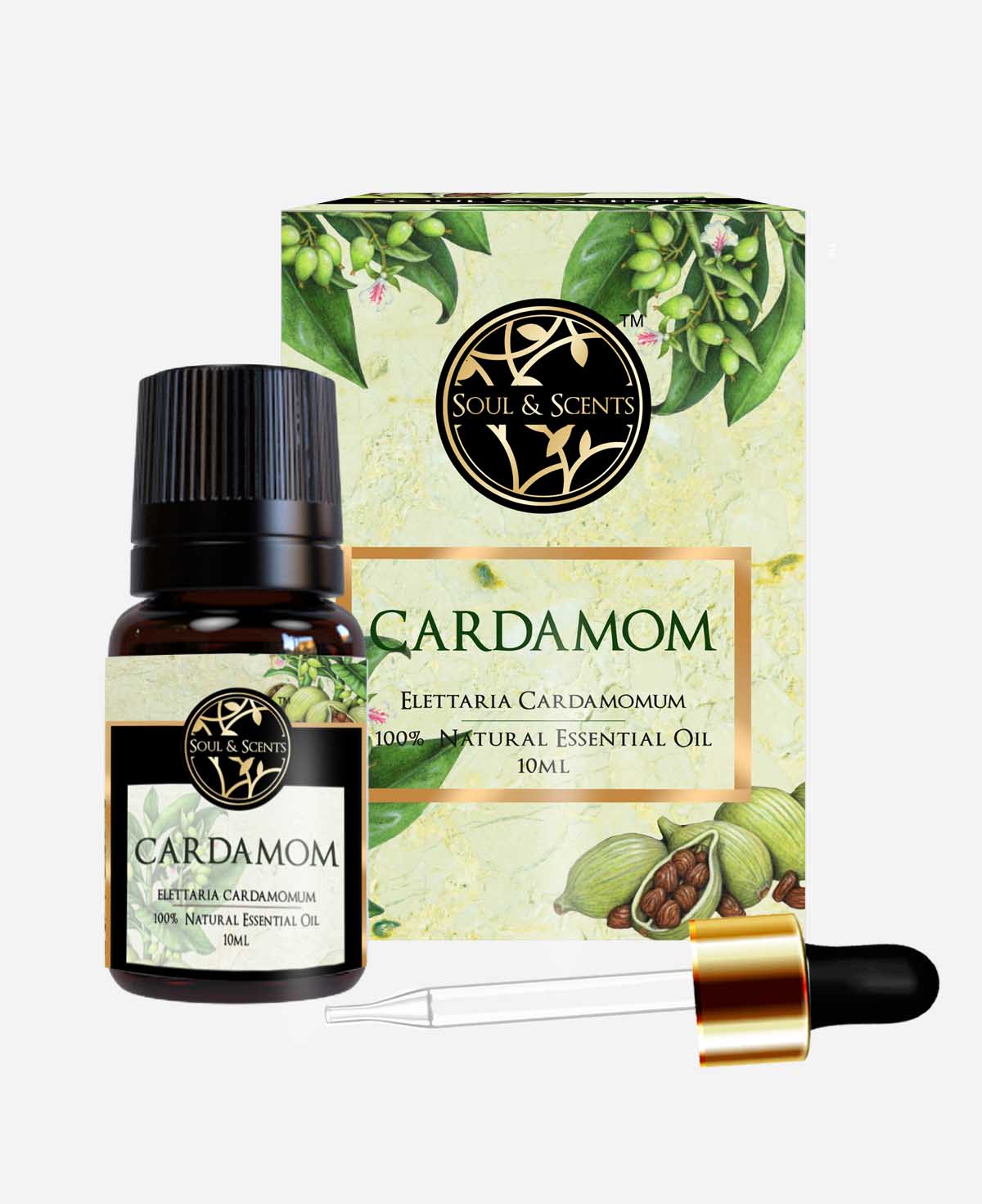 cardamom essential oil; cardamom oil; elaichi oil