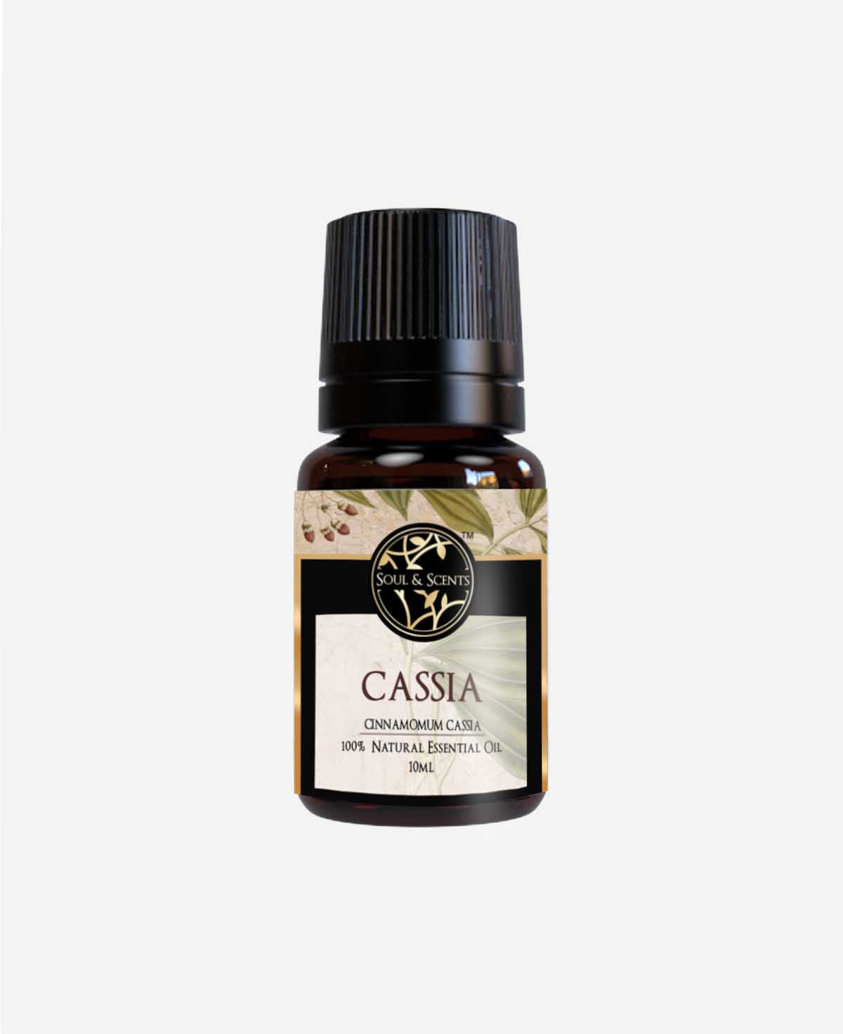 cinnamon cassia oil; cassia essential oil