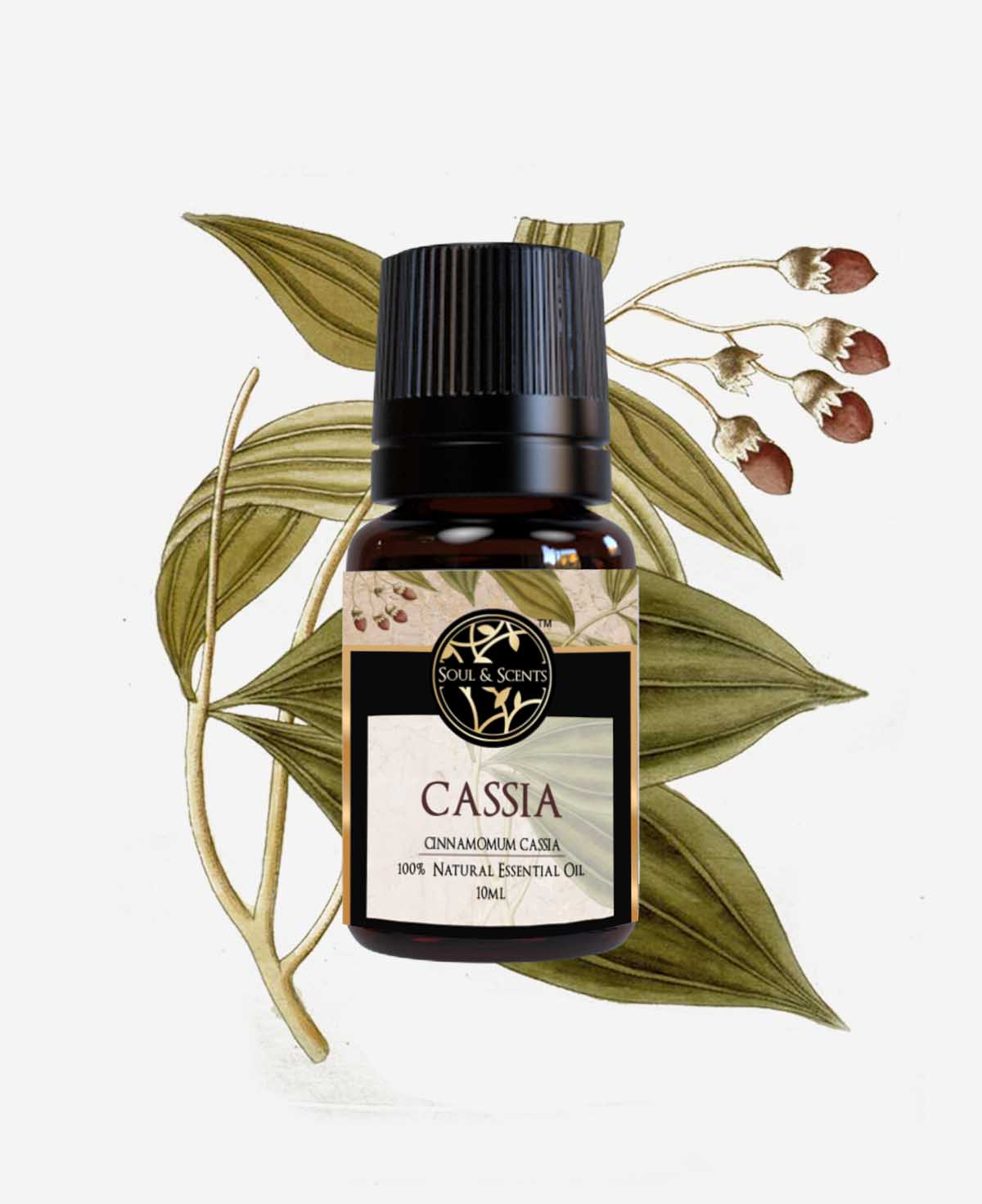 cinnamon cassia oil; cassia essential oil