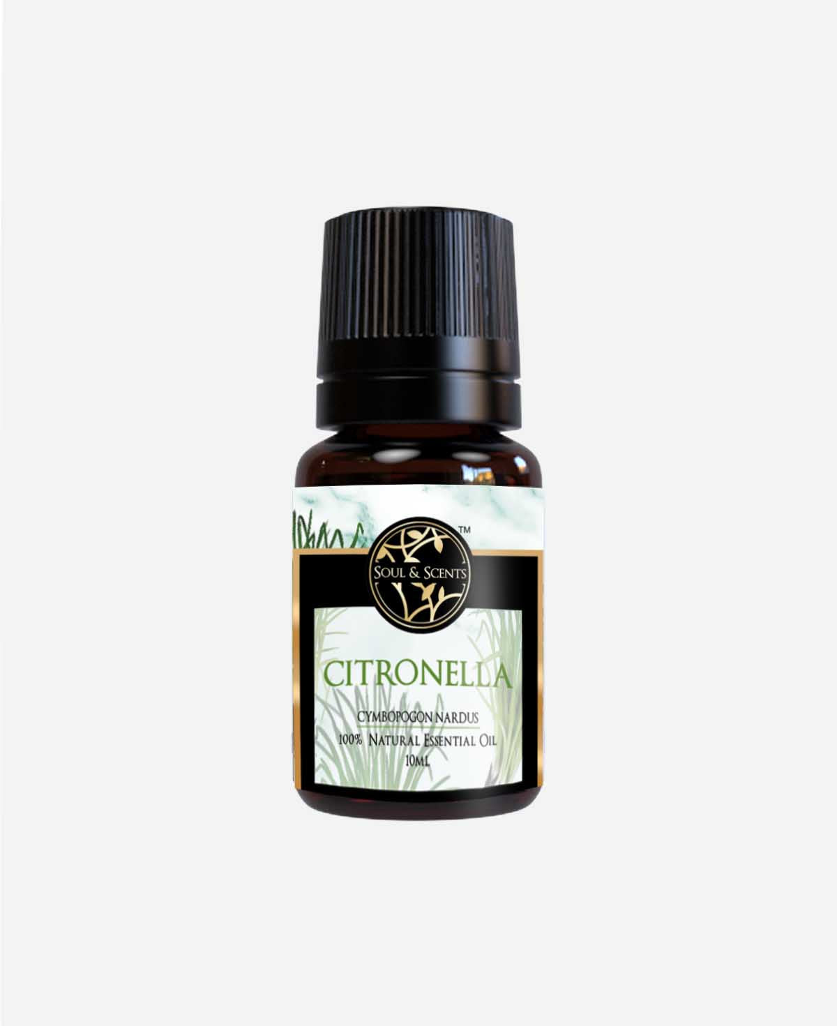 citronella oil for mosquitoes