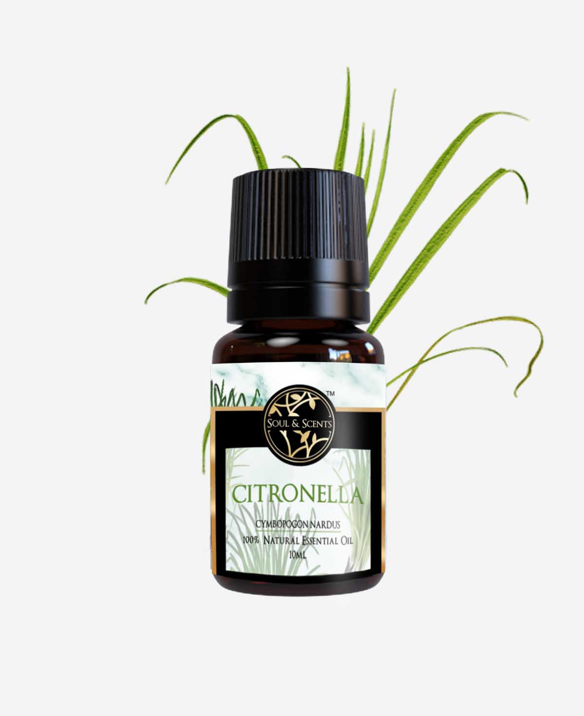 citronella oil for mosquitoes; citronella repellent; citronella essential oil