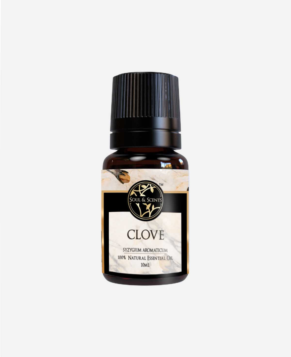 clove oil; clove essential oil; clove oil for toothache