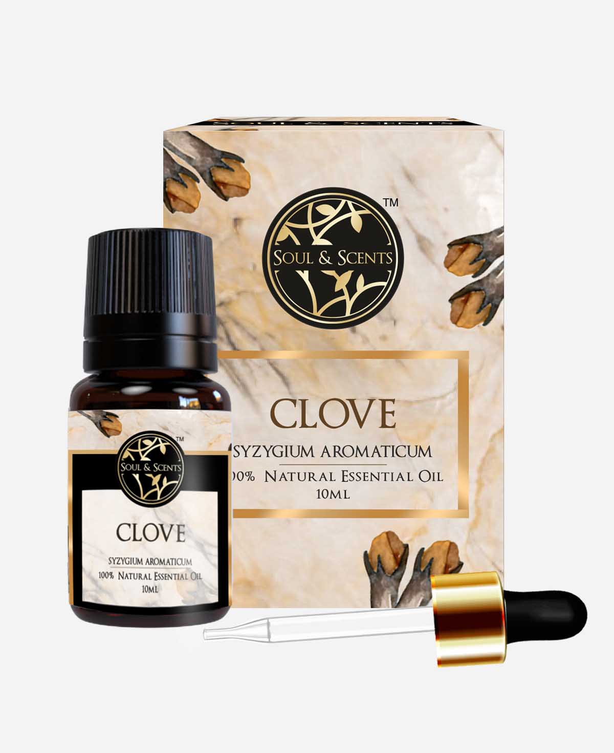 clove oil; clove essential oil; clove oil for toothache