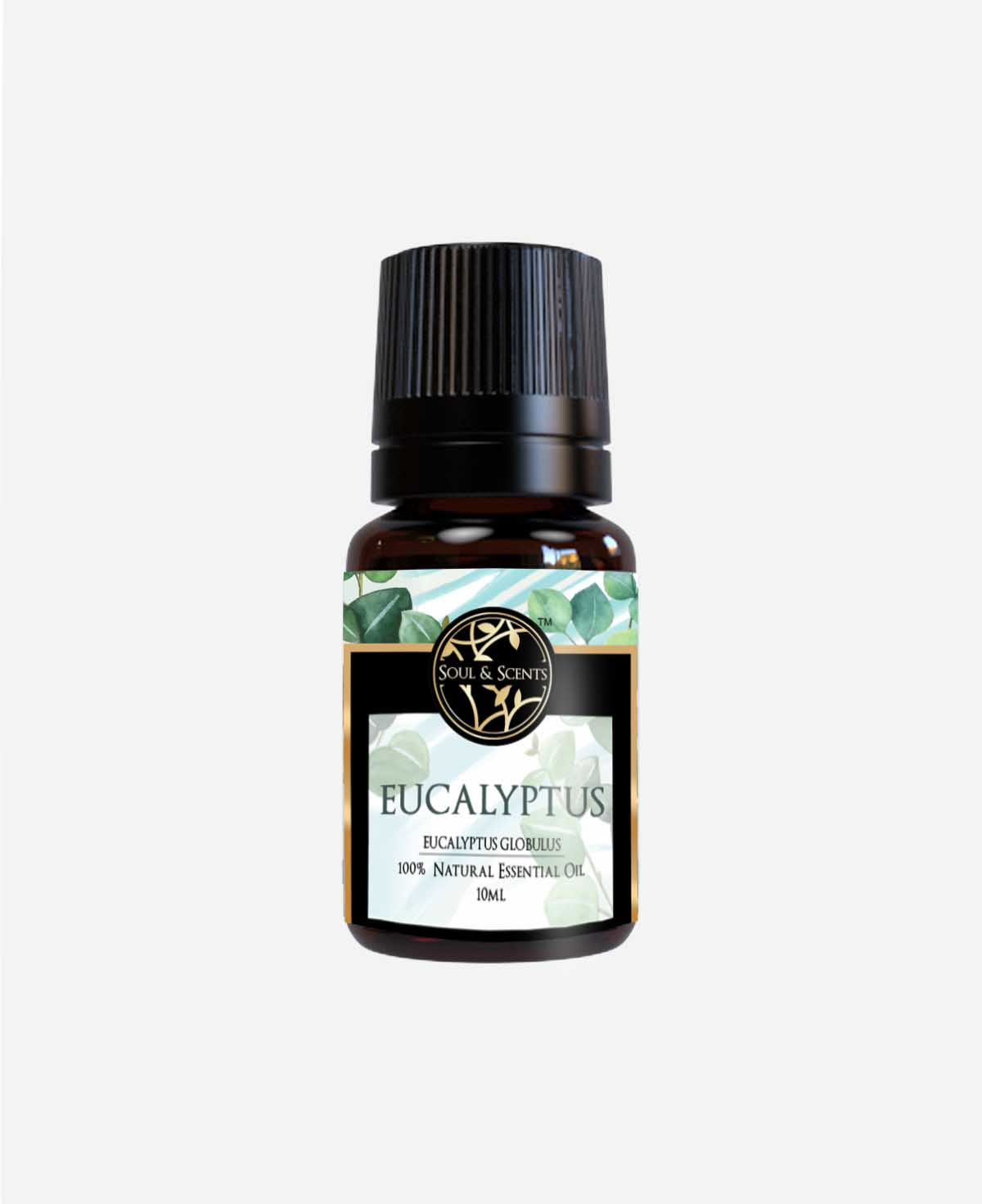 eucaluptus oil ; eucalyptus essential oil; nilgiri oil