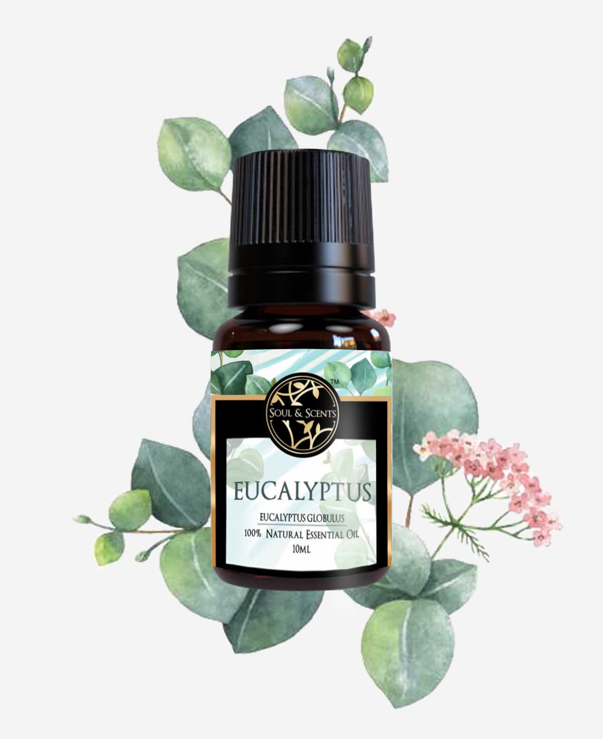 eucaluptus oil ; eucalyptus essential oil; nilgiri oil