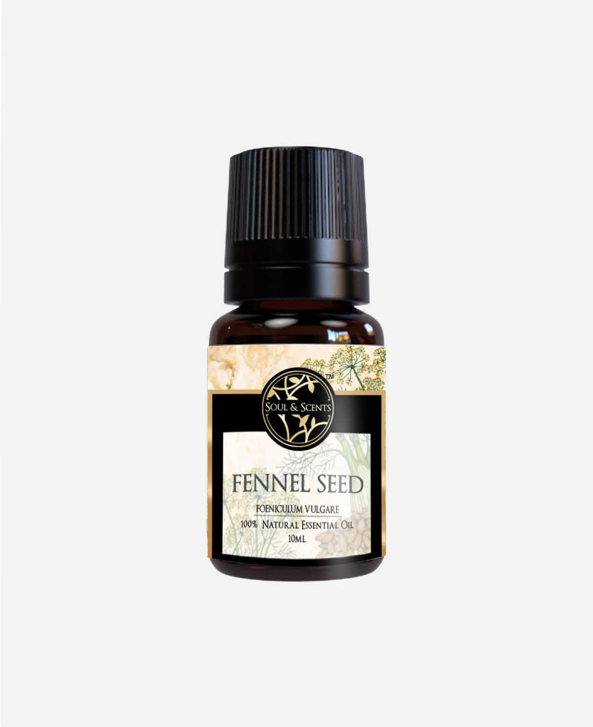 fennel seed oil; saunf oil