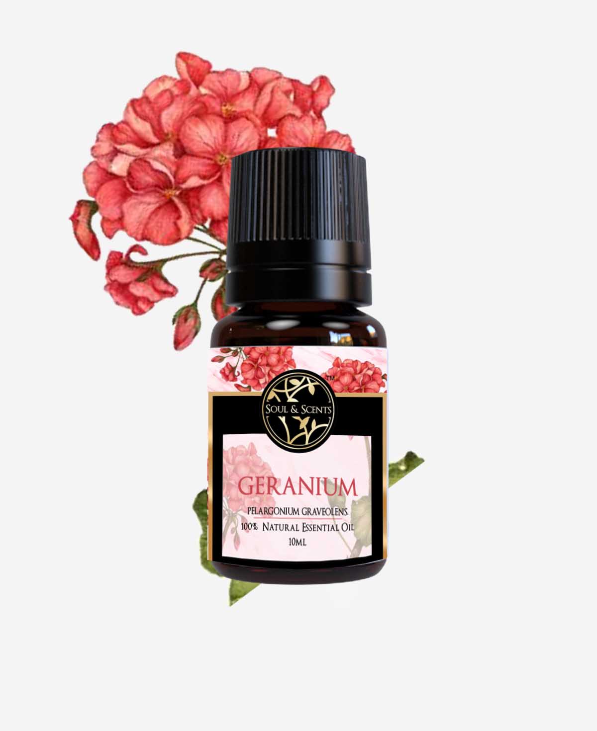geranium oil; geranium essential oil, rose geranium