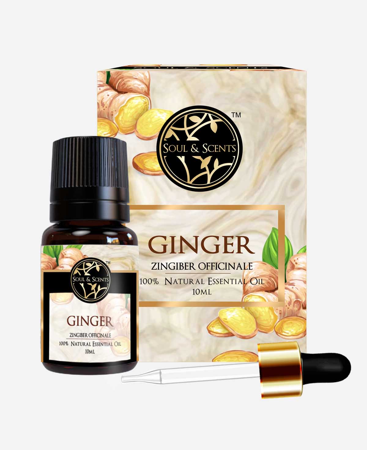 ginger oil; ginger essential oil