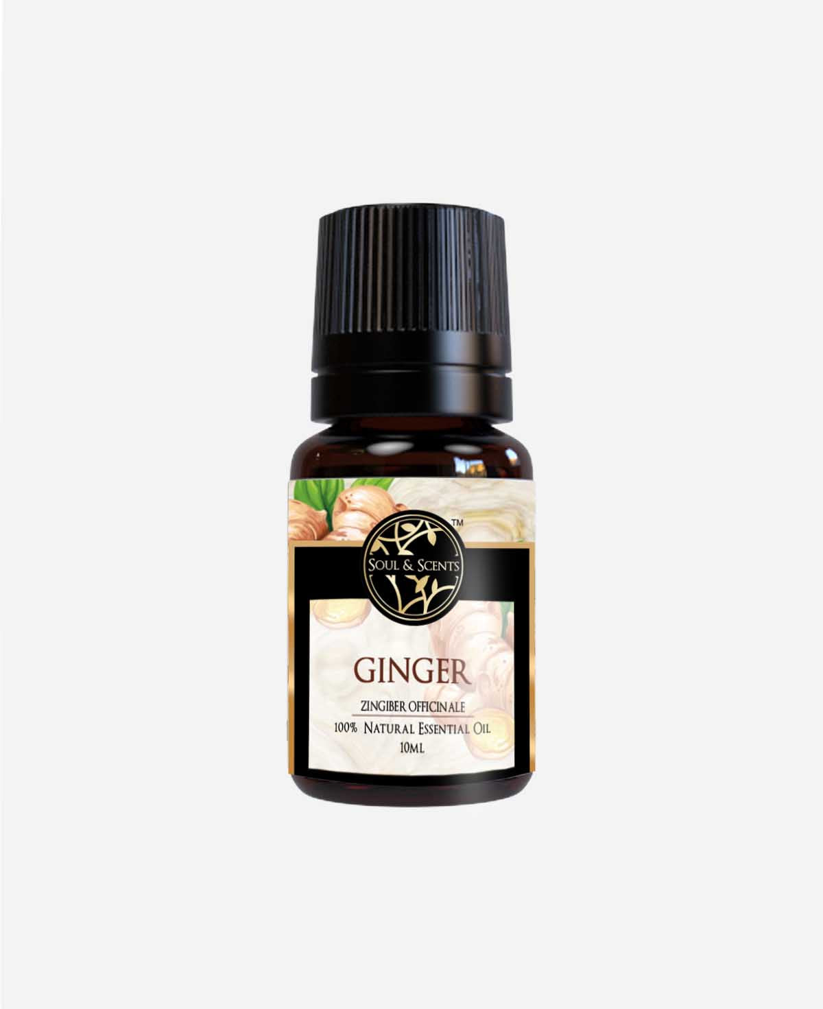 ginger oil; ginger essential oil