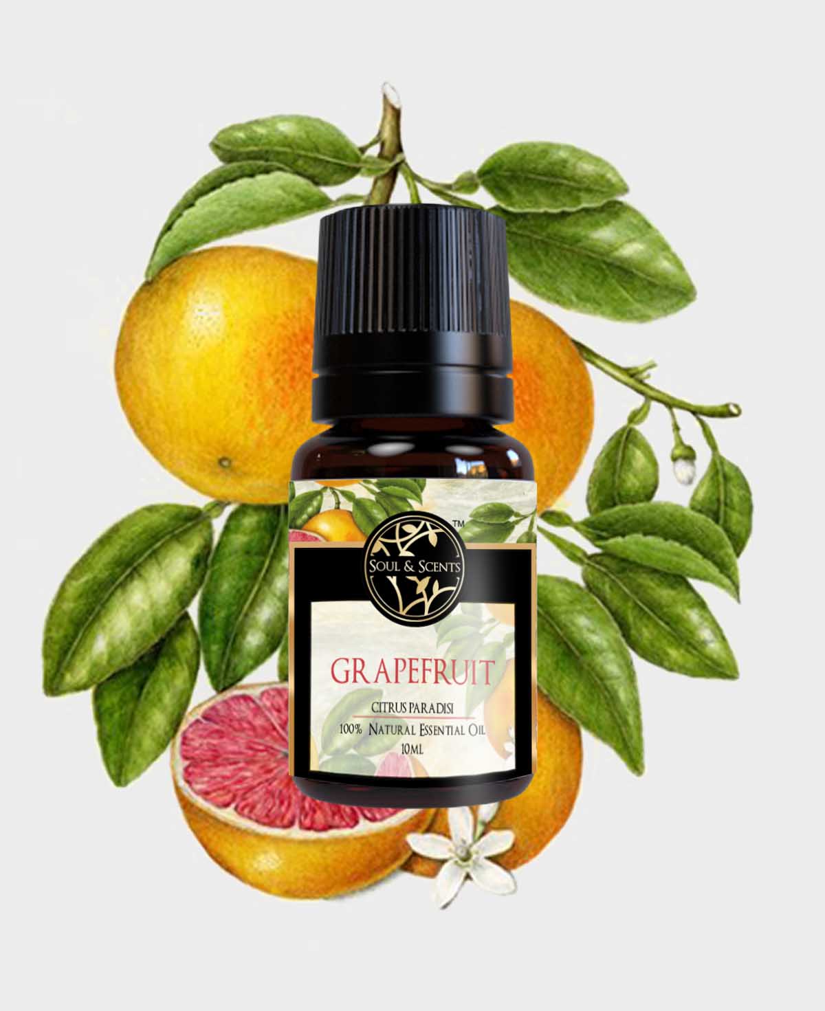 grapefruit oil; grapefruit essential oil