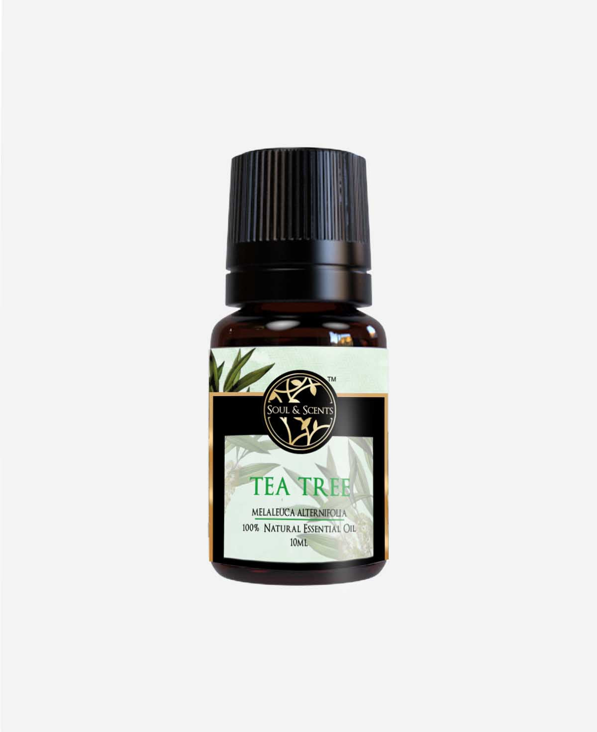 Tea Tree Essential Oil