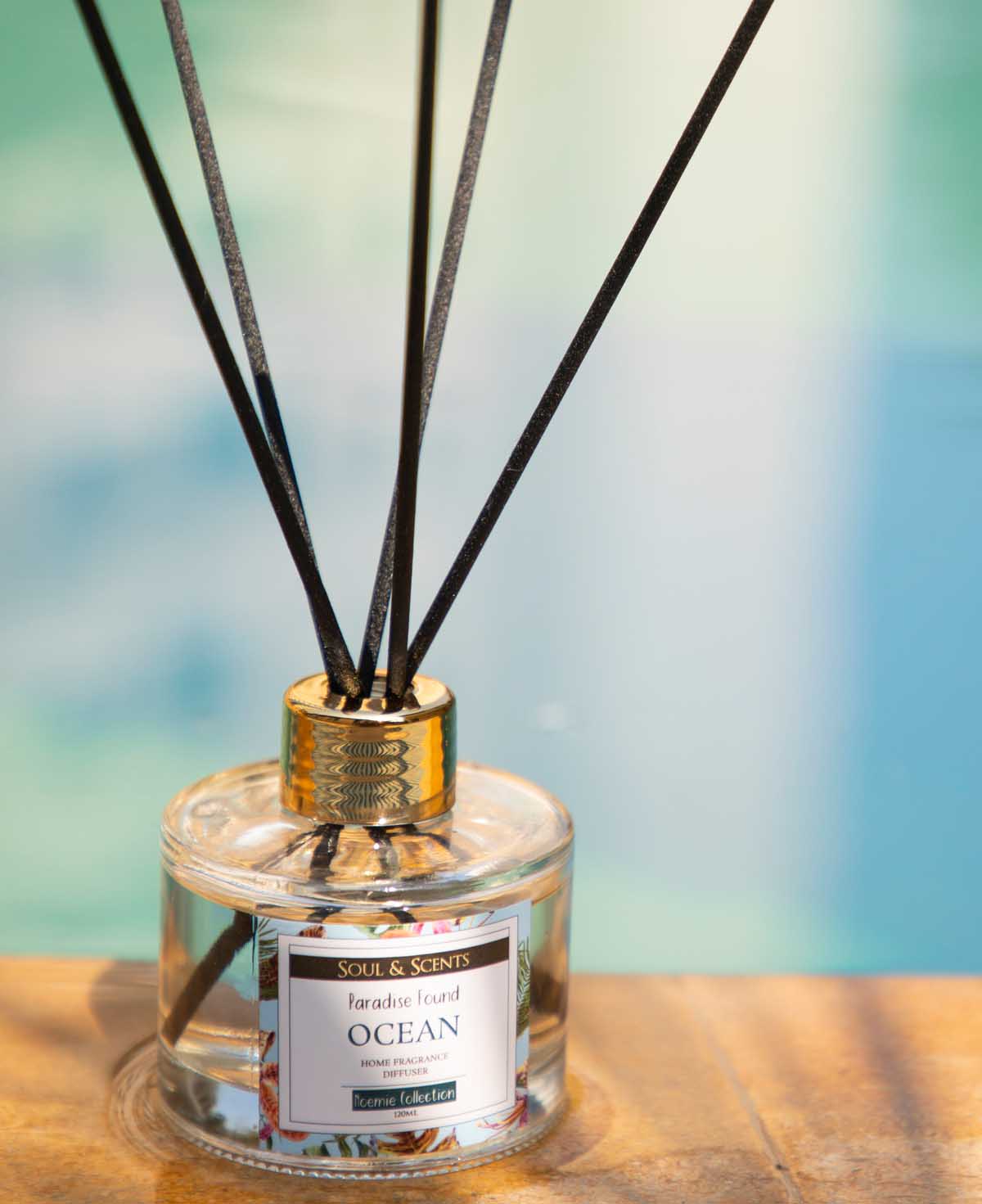 Buy Ocean Reed Diffuser For Sweet Fragrances For Home – SOUL & SCENTS